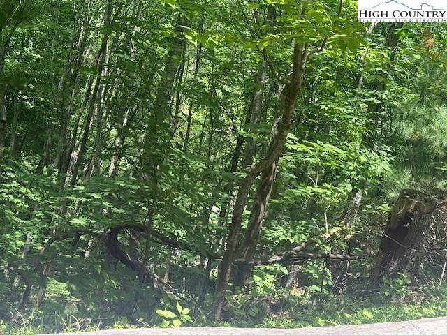 Sparta, NC 28675,TBD Deerwood RD #58
