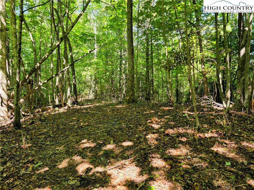Deep Gap, NC 28618,Lot 2B Brightwood TRL