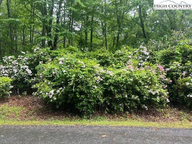 West Jefferson, NC 28694,Lot 142 Meadow LN