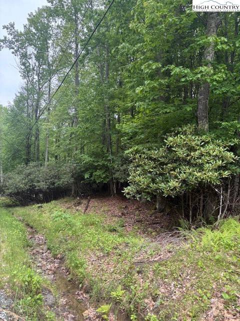 Beech Mountain, NC 28604,522 Saint Andrews RD