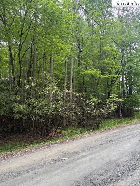 Beech Mountain, NC 28604,522 Saint Andrews RD
