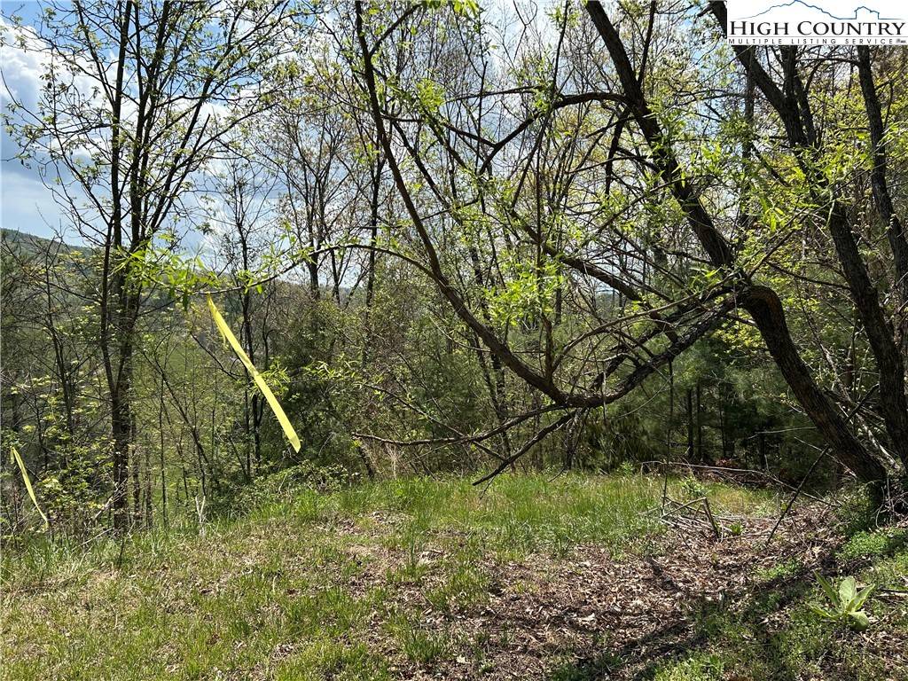 West Jefferson, NC 28640,TBD New River Overlook (Lot 7)