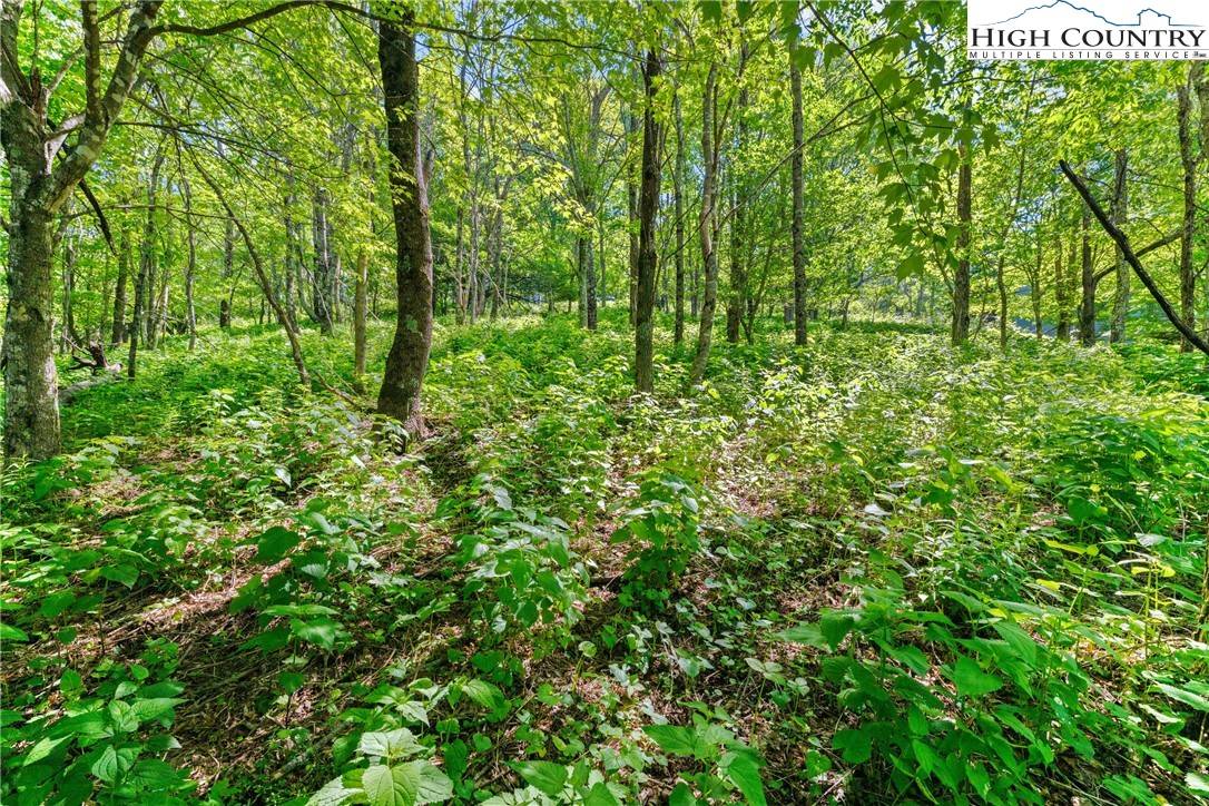 Zionville, NC 28698,TBD Silverleaf RD