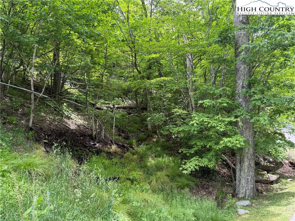 Banner Elk, NC 28604,TBD Wakeman WAY