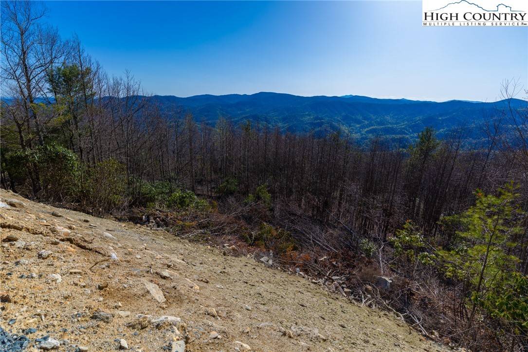 Deep Gap, NC 28618,Lot 153 Angelfire TRL