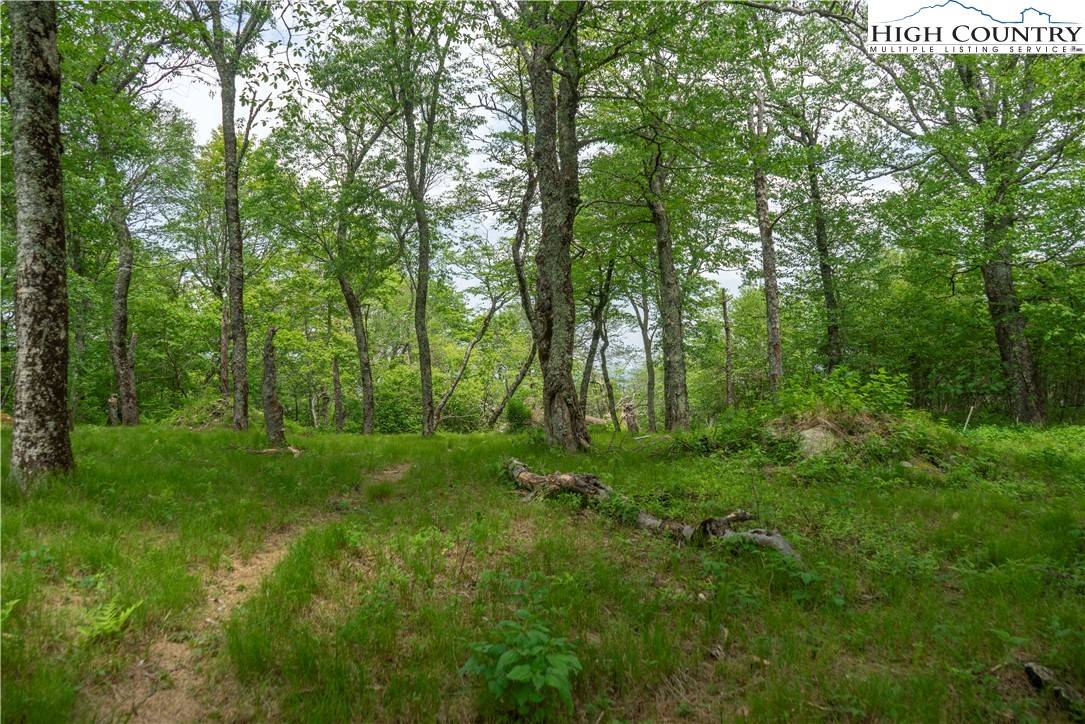 Sugar Mountain, NC 28604,75 Green Cliffs RD