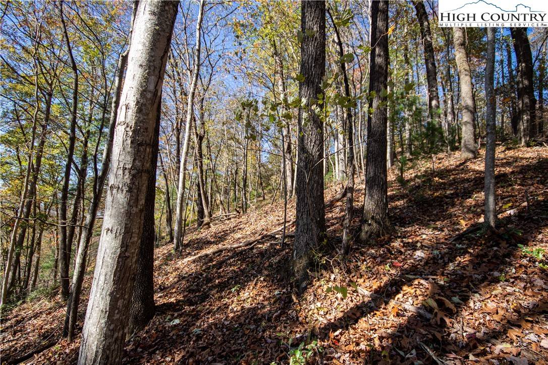 Lenoir, NC 28645,Lot# 547 Autumn Ridge DR