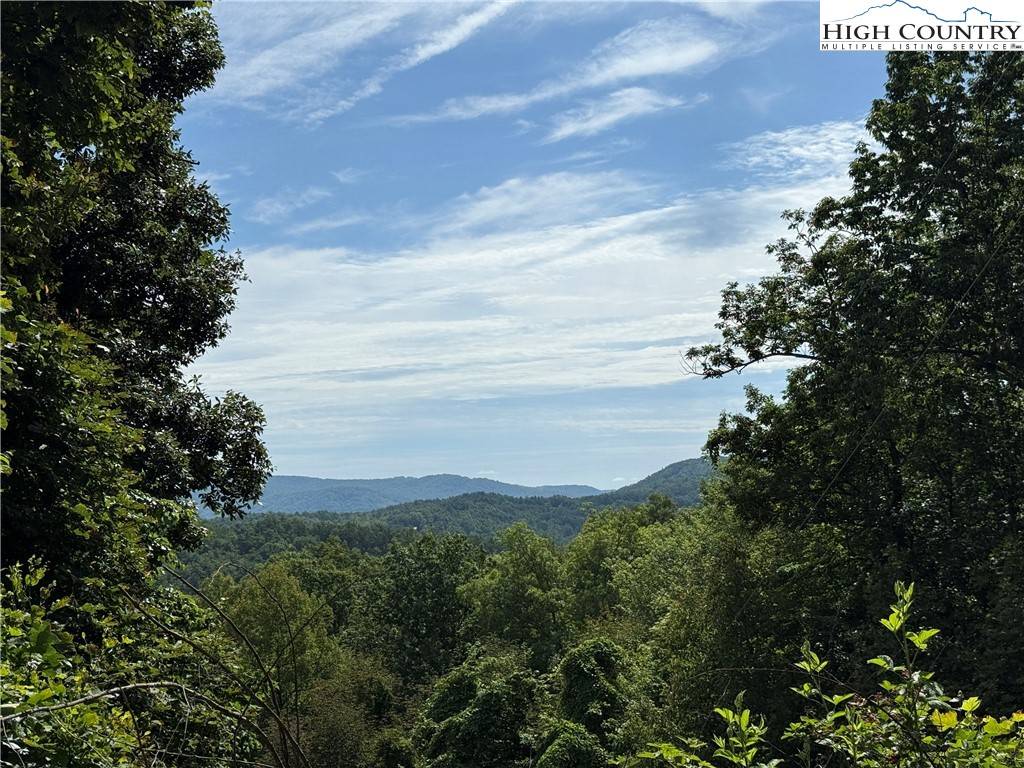 Purlear, NC 28665,Lot 215 Casey Mountain RD