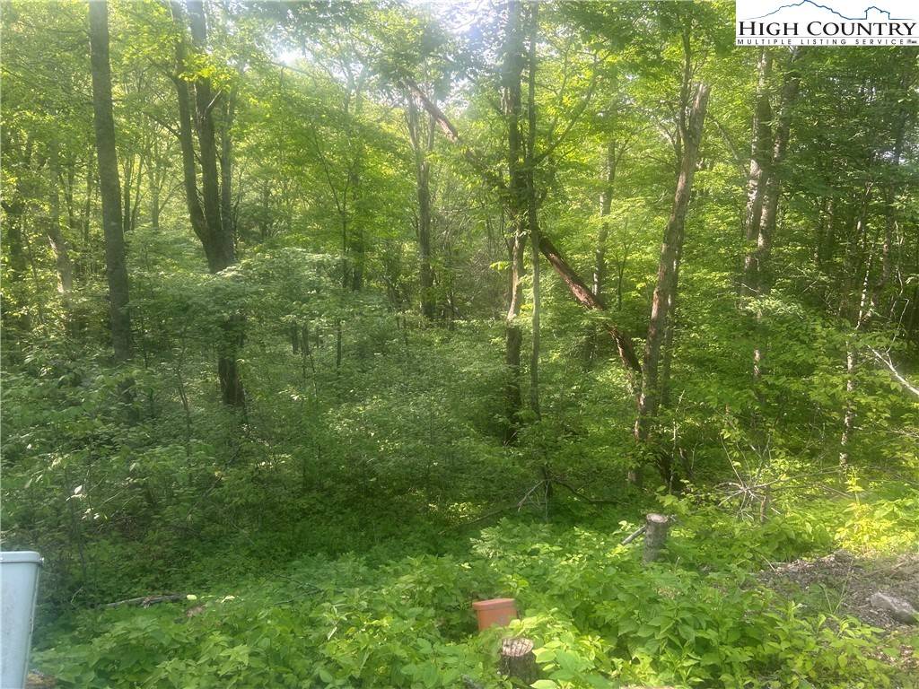 Sugar Mountain, NC 28605,TBD Grouse Moor DR