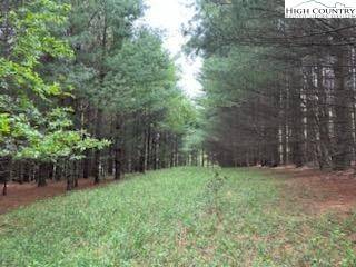 Glade Valley, NC 28627,TBD Fox Ridge RD