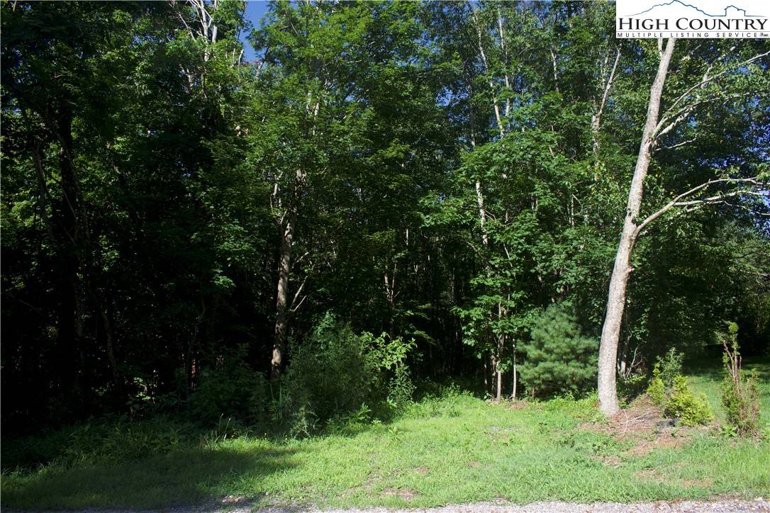 Boone, NC 28607,Lot 2B Whispering Pines Rd