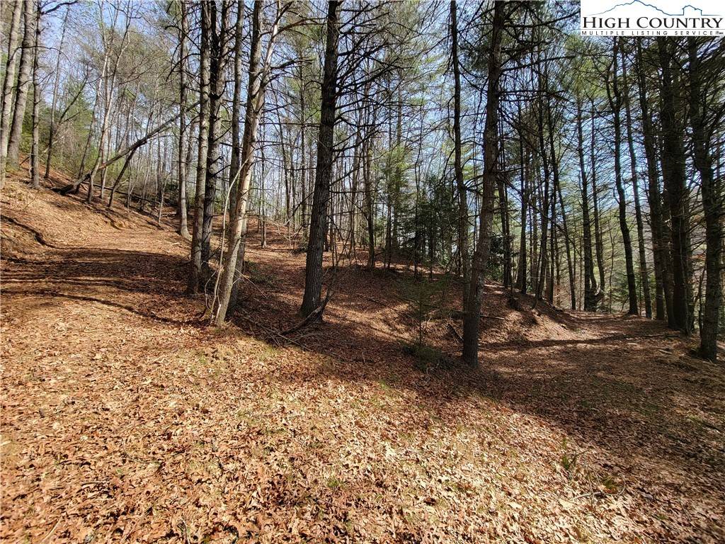 Fleetwood, NC 28626,TBD (Lot 73) Creekside Meadows DR