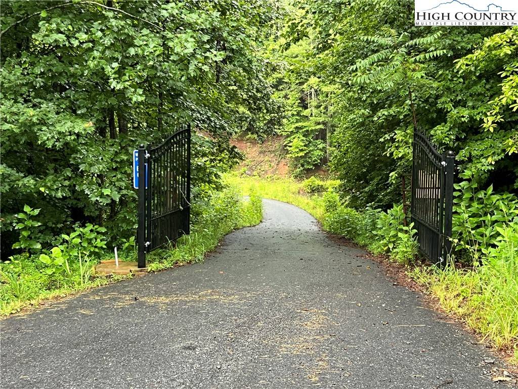 Purlear, NC 28665,TBD Staghorn RD