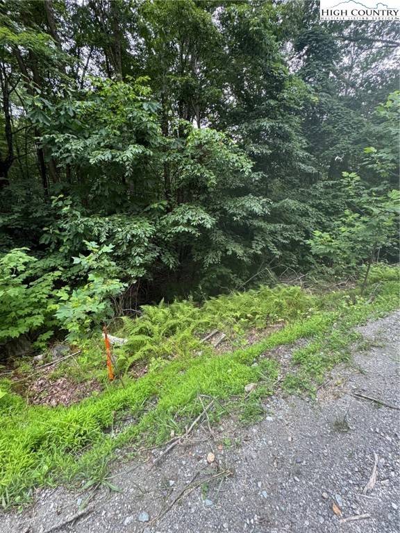 Beech Mountain, NC 28604,327 Locust Ridge