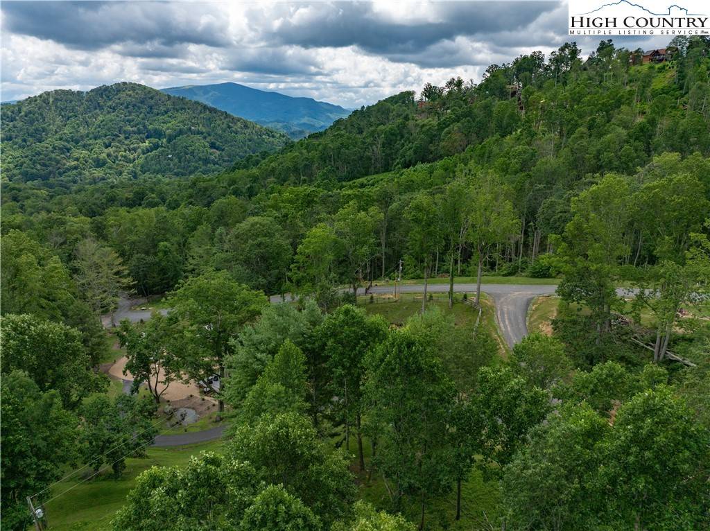 Banner Elk, NC 28604,V-83 Black Feather DR