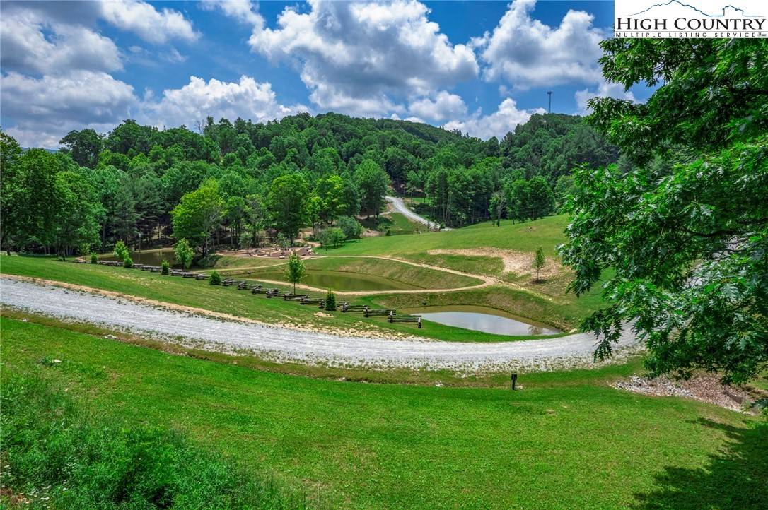 Elk Park, NC 28604,WR-13 Firethorne LN