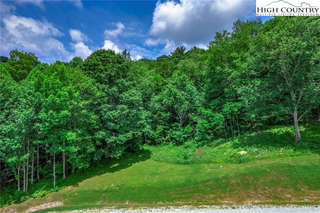 Elk Park, NC 28604,WR-13 Firethorne LN