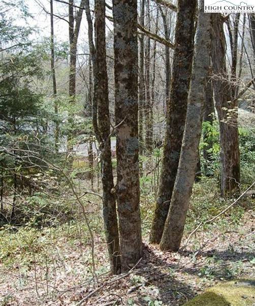 Newland, NC 28657,439 Locust RD