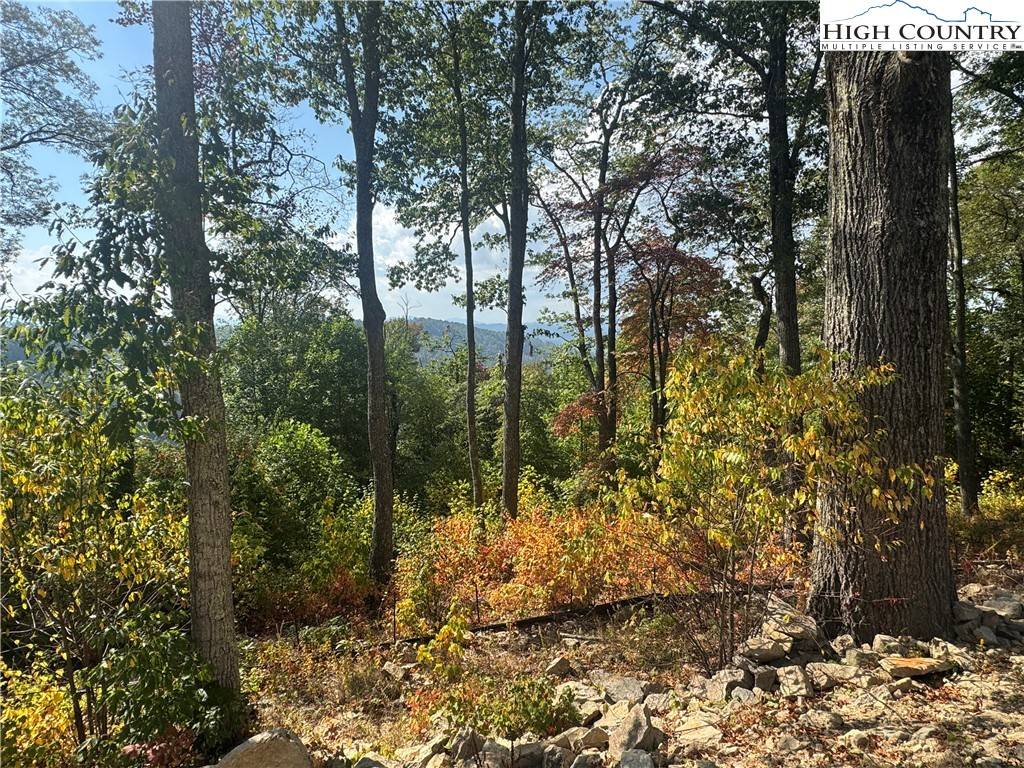 Elk Park, NC 28622,Lot 9 Eagles Crest TRL