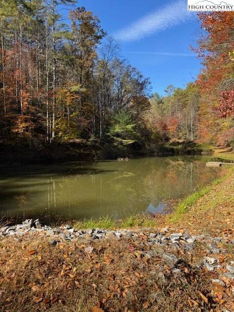 Ferguson, NC 28624,78 Holleridge RD