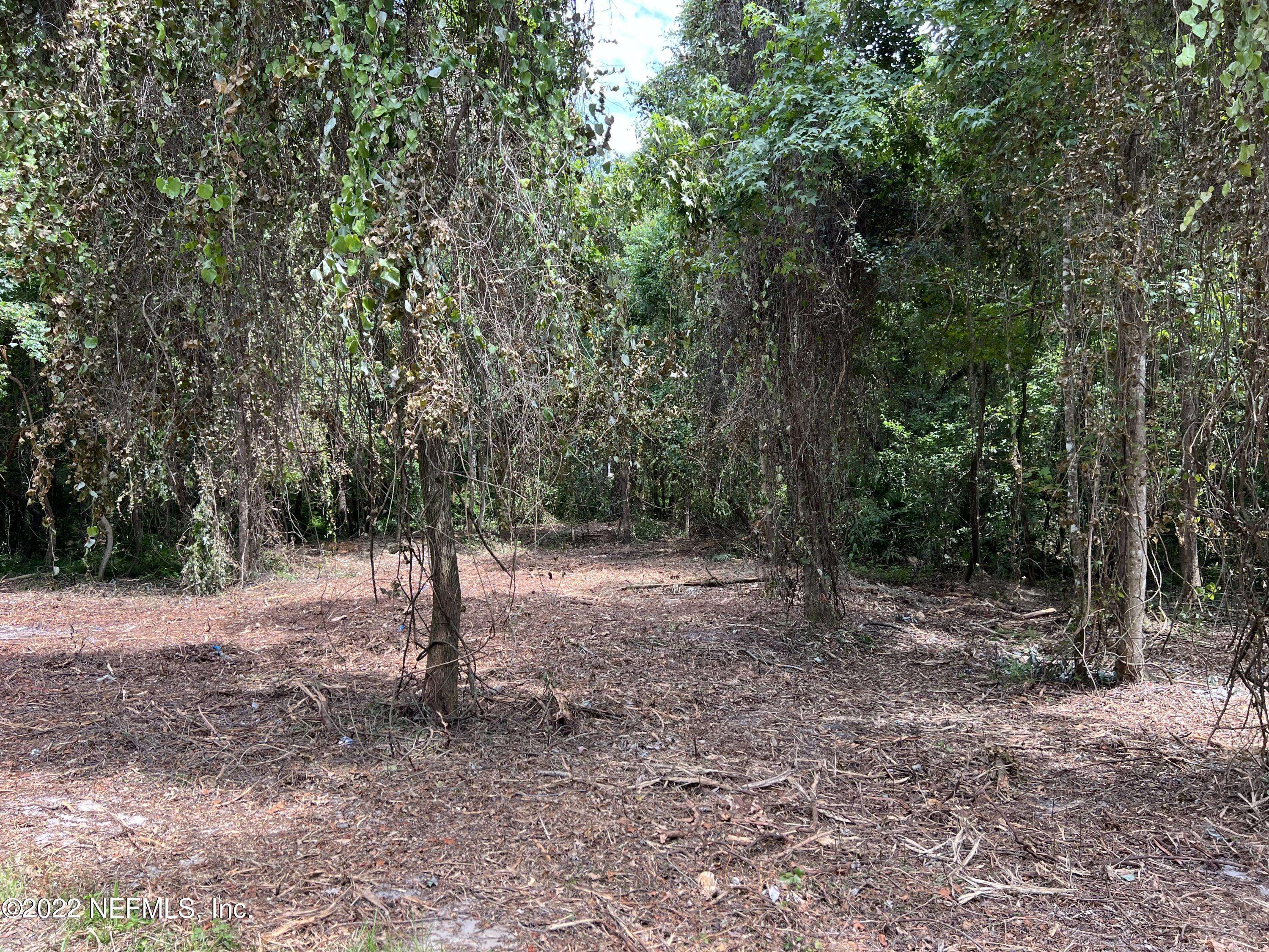 Middleburg, FL 32068,4070 HONEYSUCKLE CIR