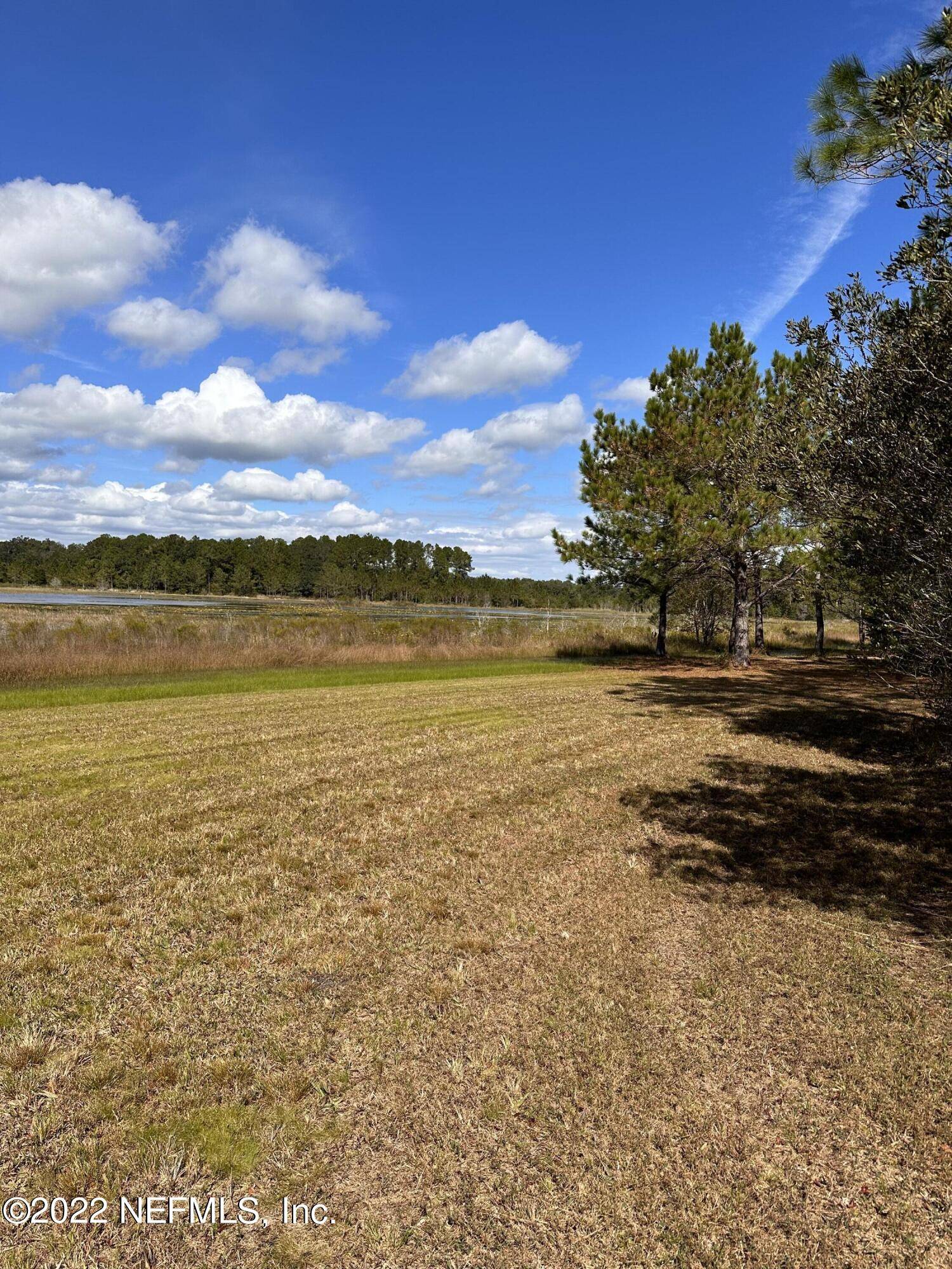 Umatilla, FL 32784,00 SE 159TH LN