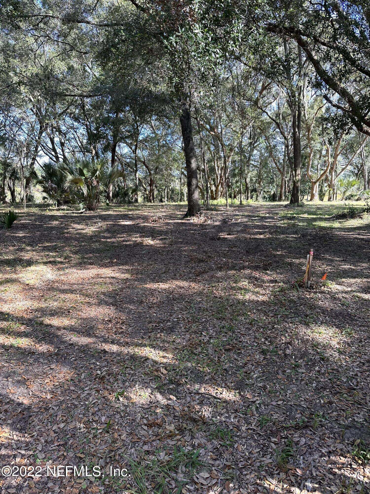 Umatilla, FL 32784,00 SE 159TH LN