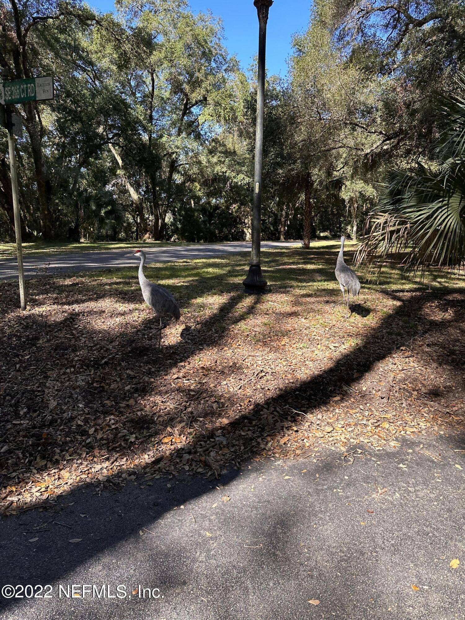 Umatilla, FL 32784,00-08 SE 265TH COURT RD