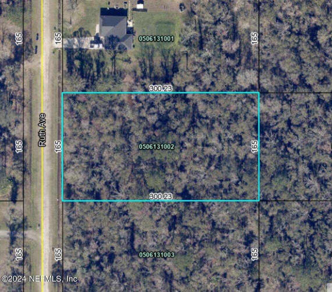 Hastings, FL 32145,10320 RUTH AVE