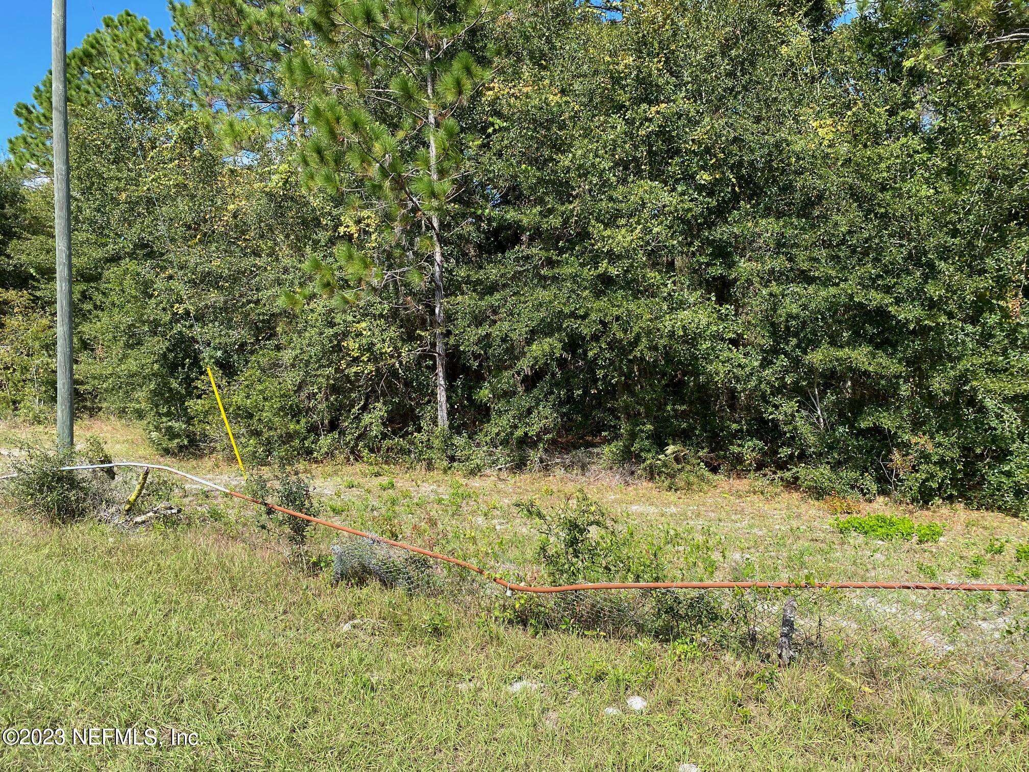 Interlachen, FL 32148,TBD FL SR 20 HWY