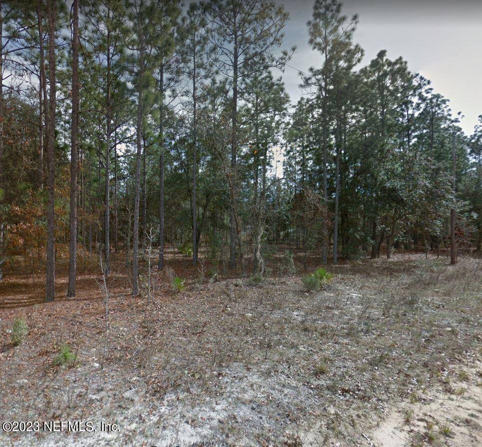 Interlachen, FL 32148,LOT 47 RIVER ST