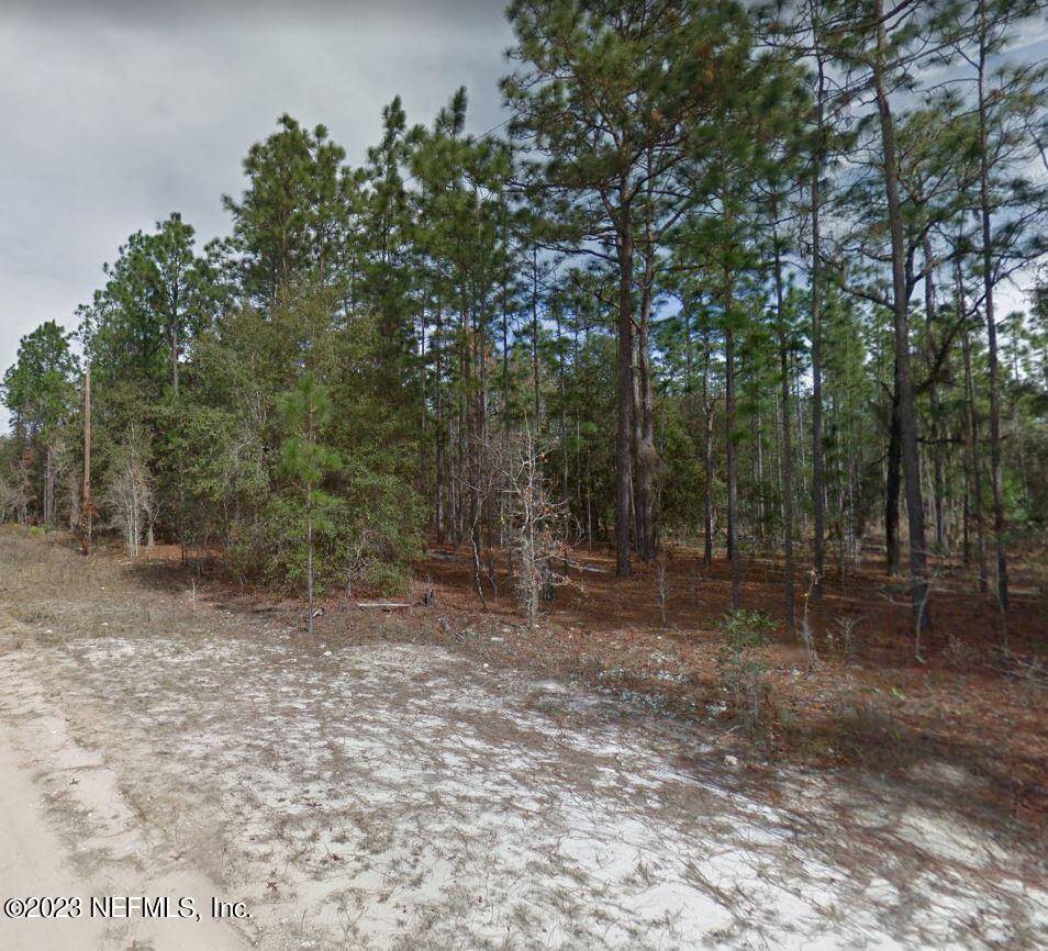 Interlachen, FL 32148,LOT 47 RIVER ST