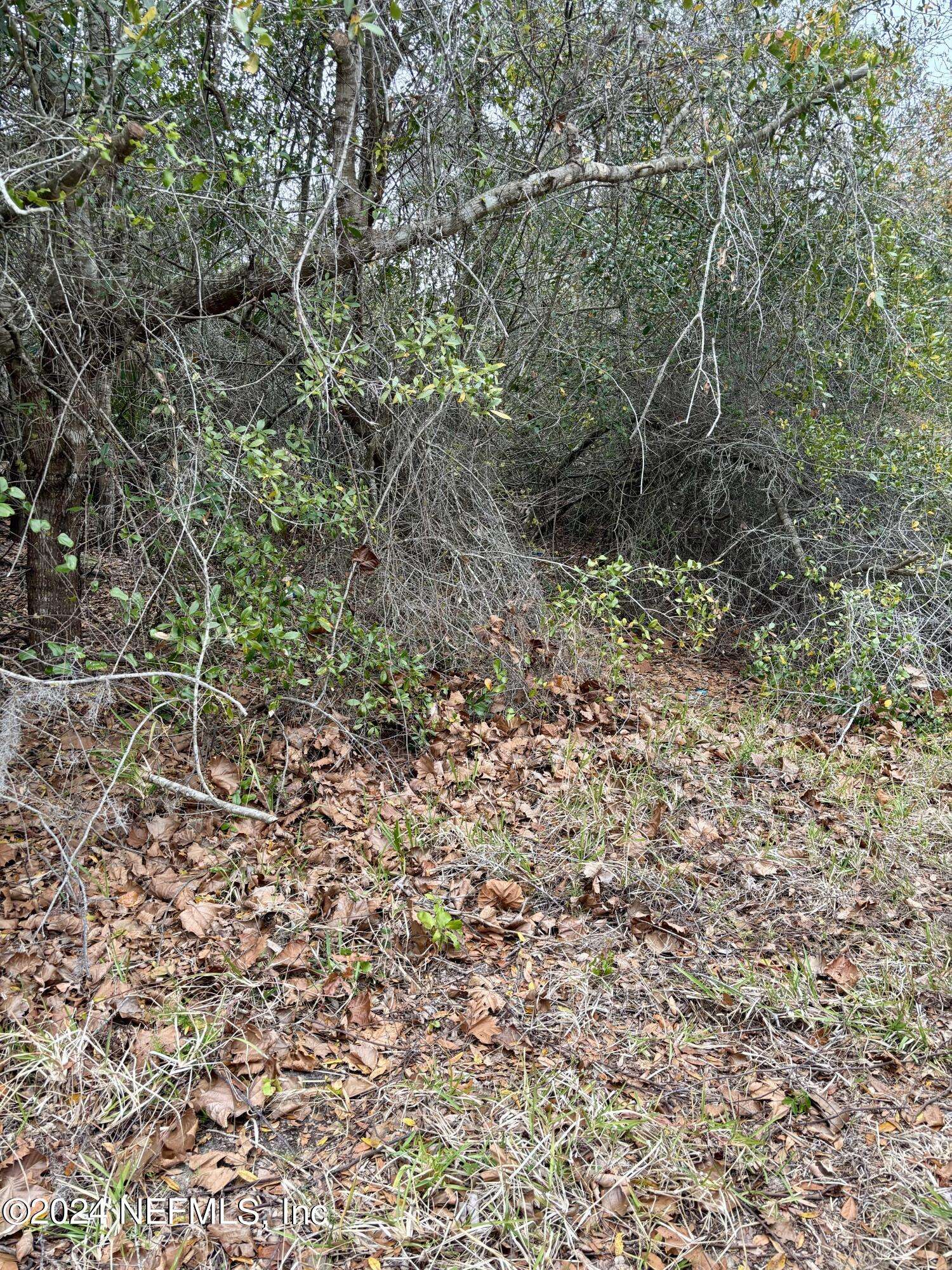 Port Orange, FL 32127,5806 SPRUCE CREEK WOODS DR