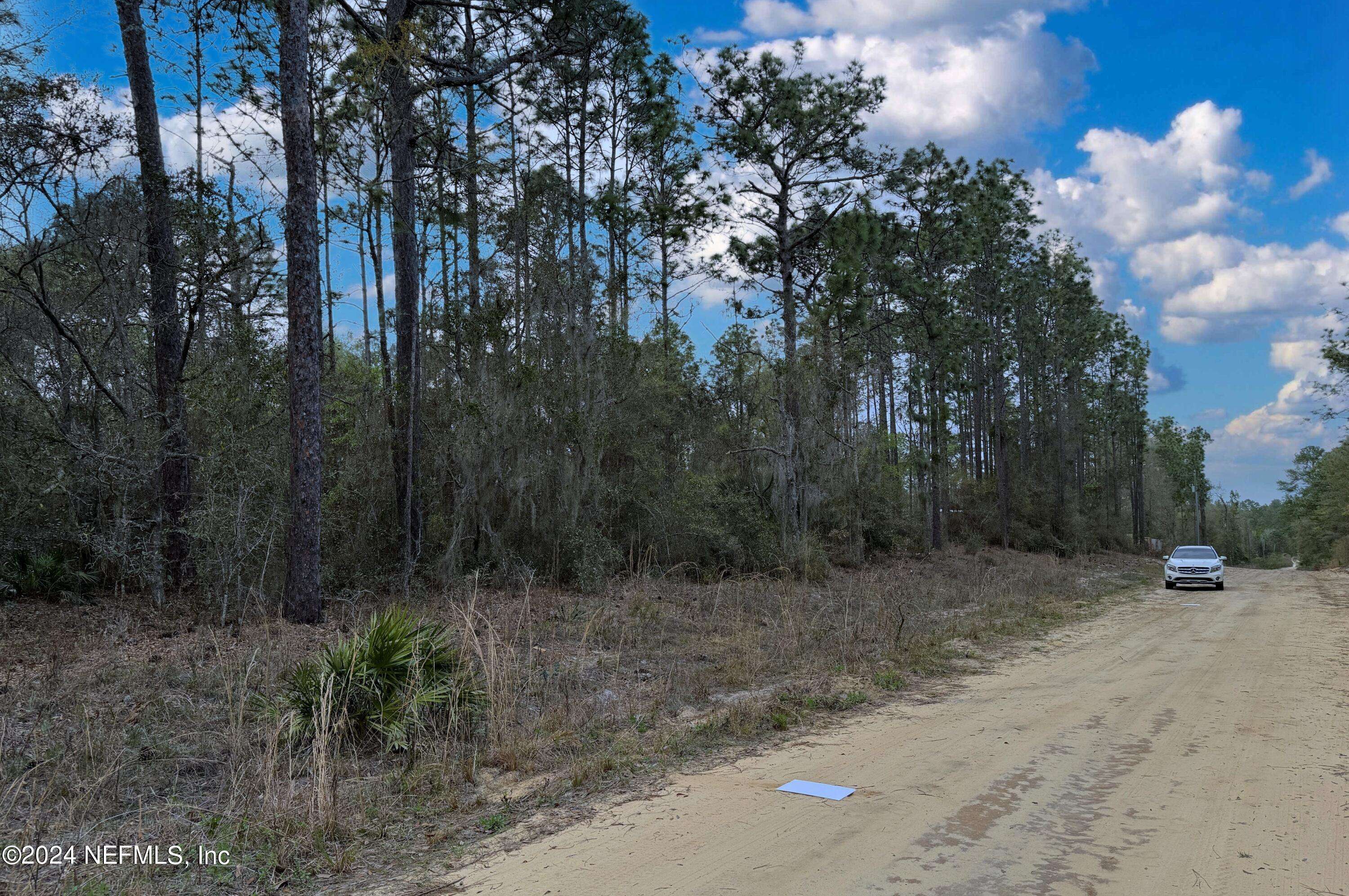 Satsuma, FL 32189,0 QUAIL HOLLOW RD