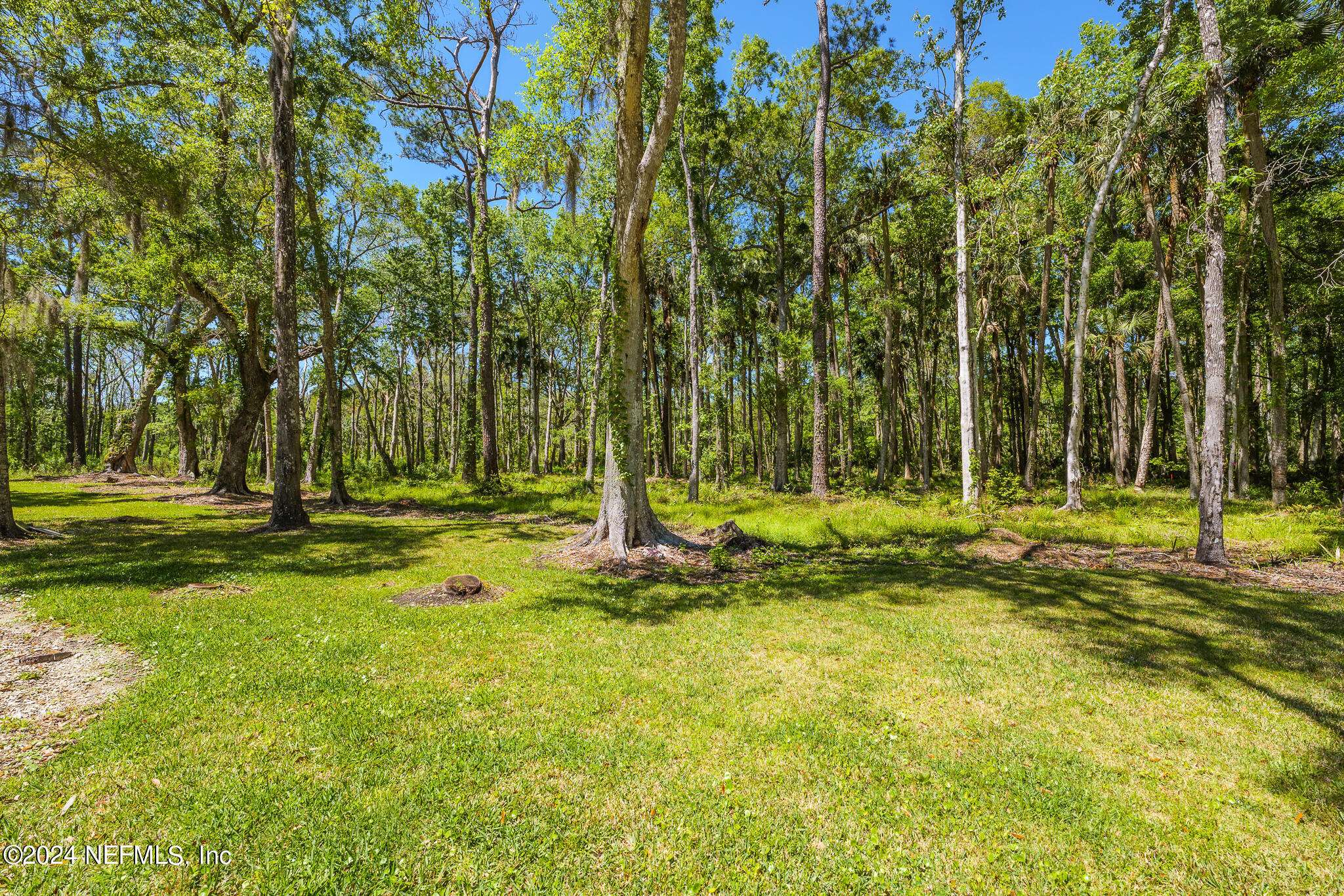 Ponte Vedra Beach, FL 32082,661 WILDERNESS TRL N