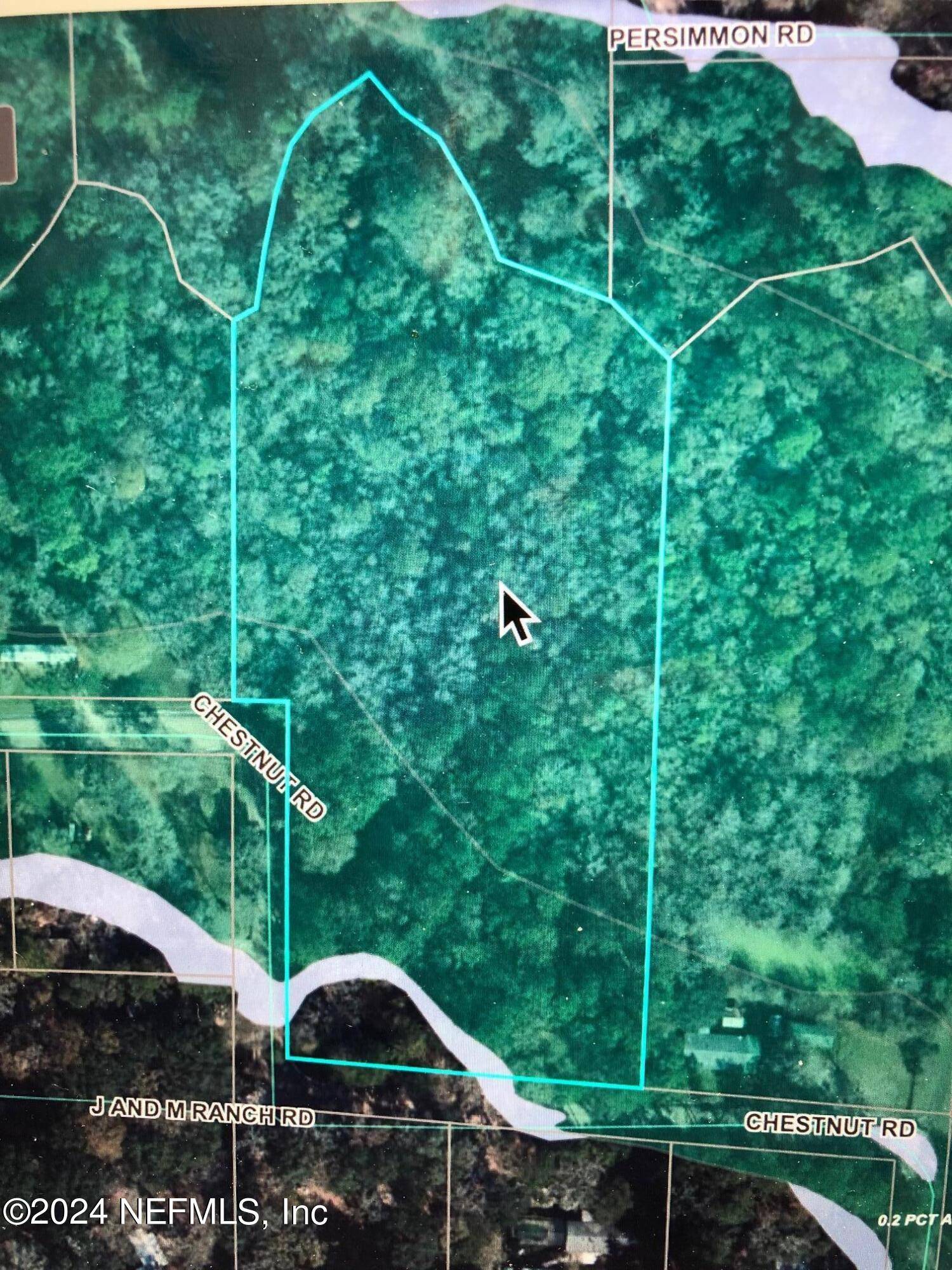 Macclenny, FL 32097,6351 CHESTNUT RD