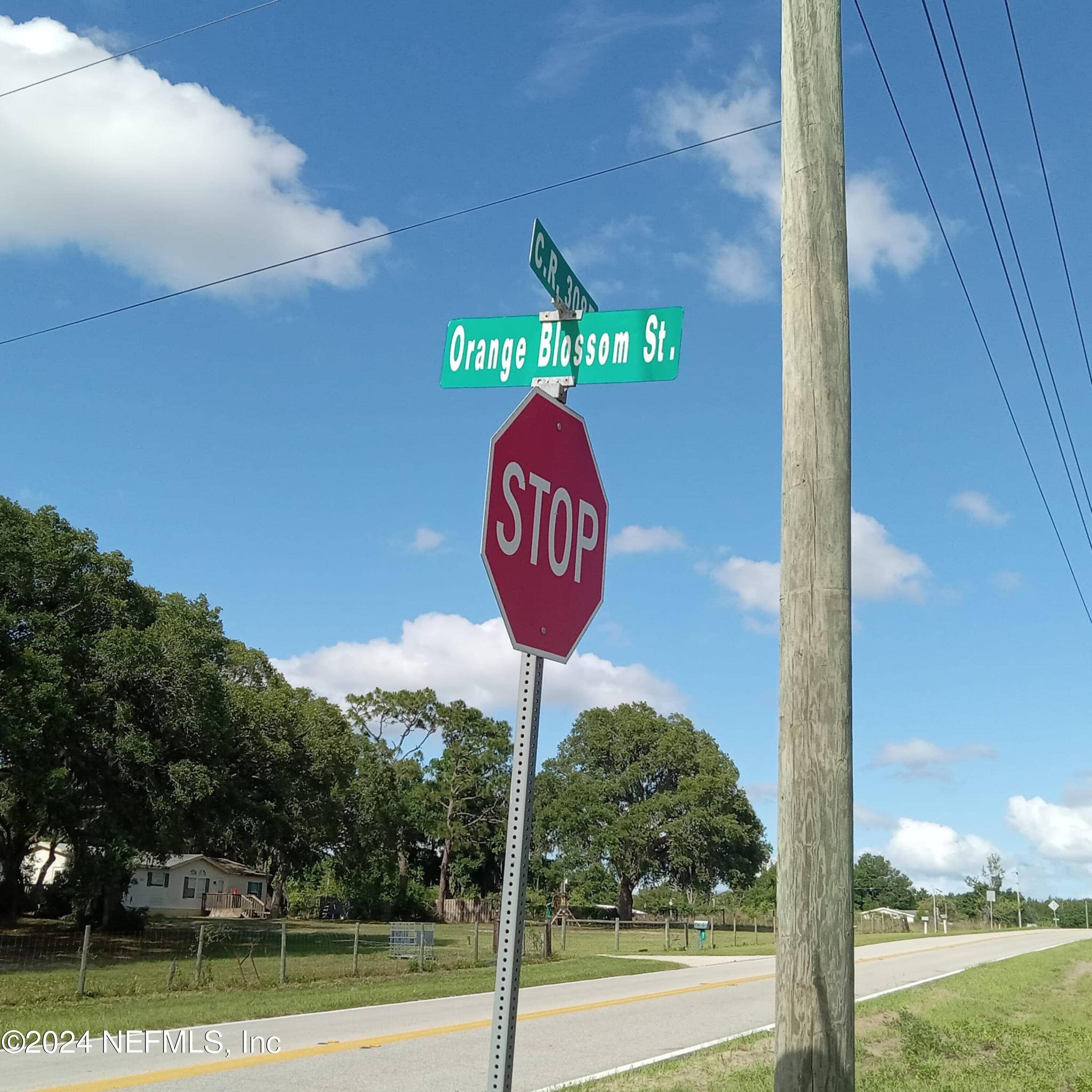 Pomona Park, FL 32181,00 ORANGE BLOSSOM ST