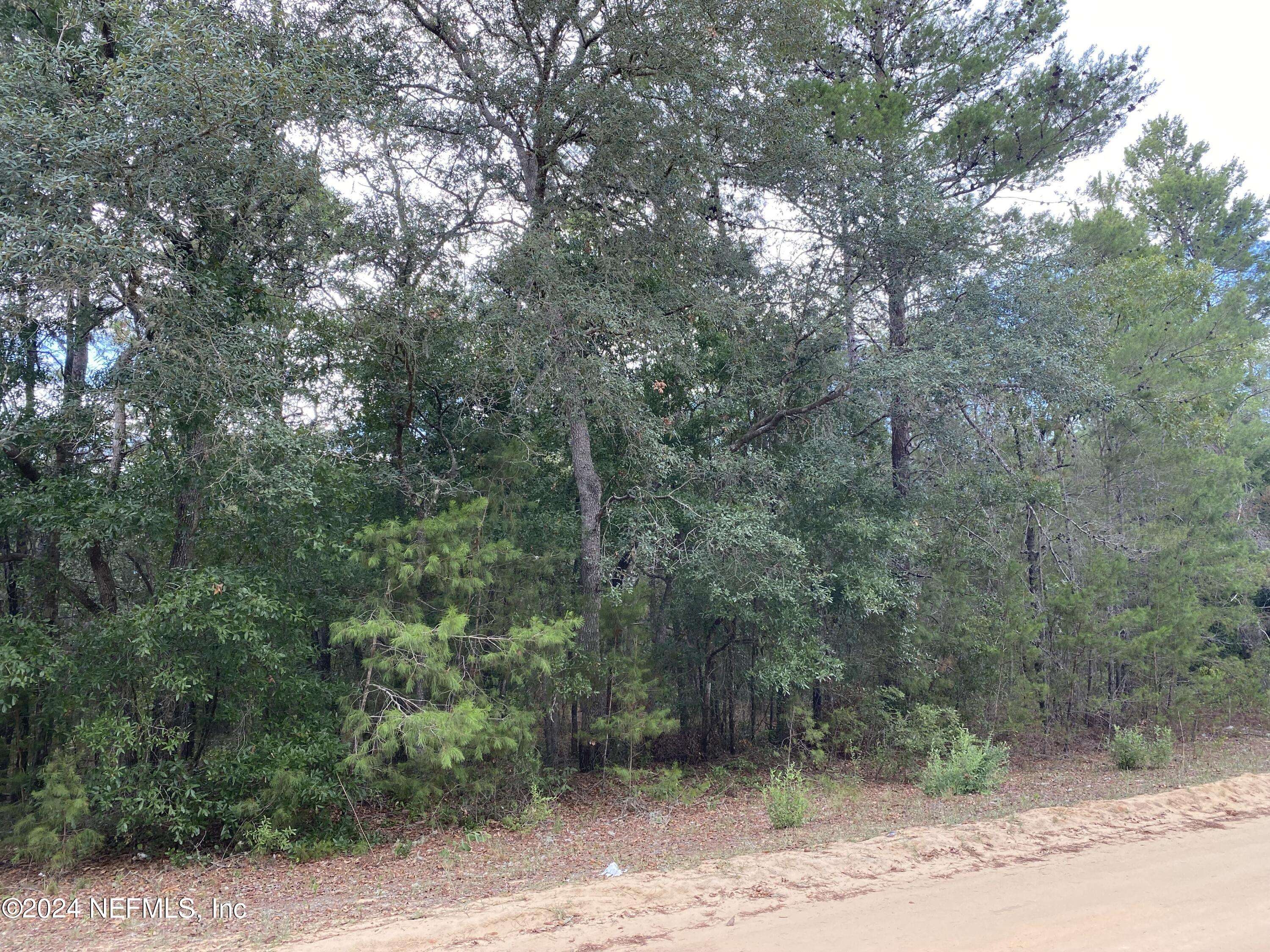 Interlachen, FL 32148,LOT 63 RILEY DR