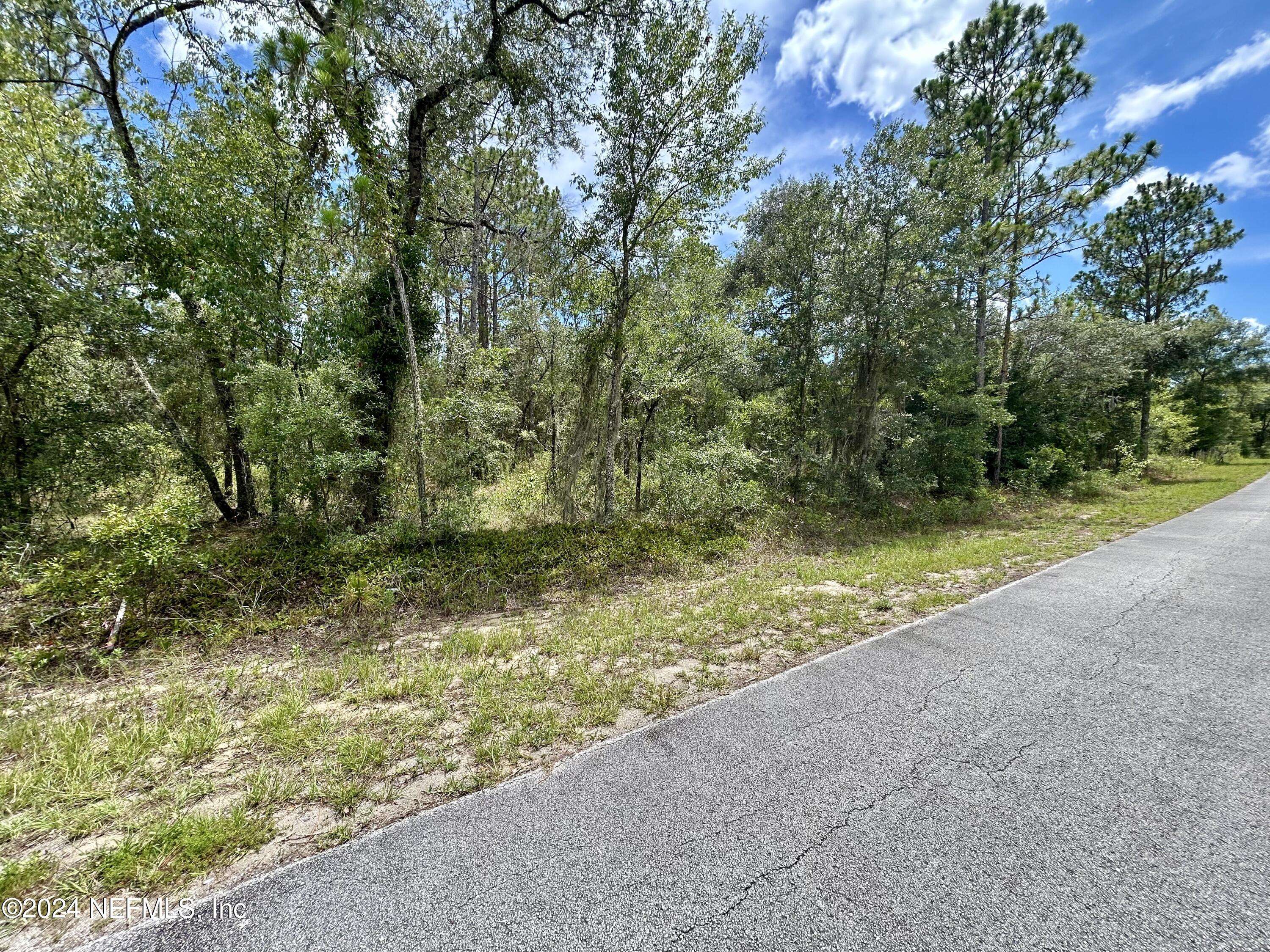 Dunnellon, FL 34431,LOT 17 NW MALLARD AVE