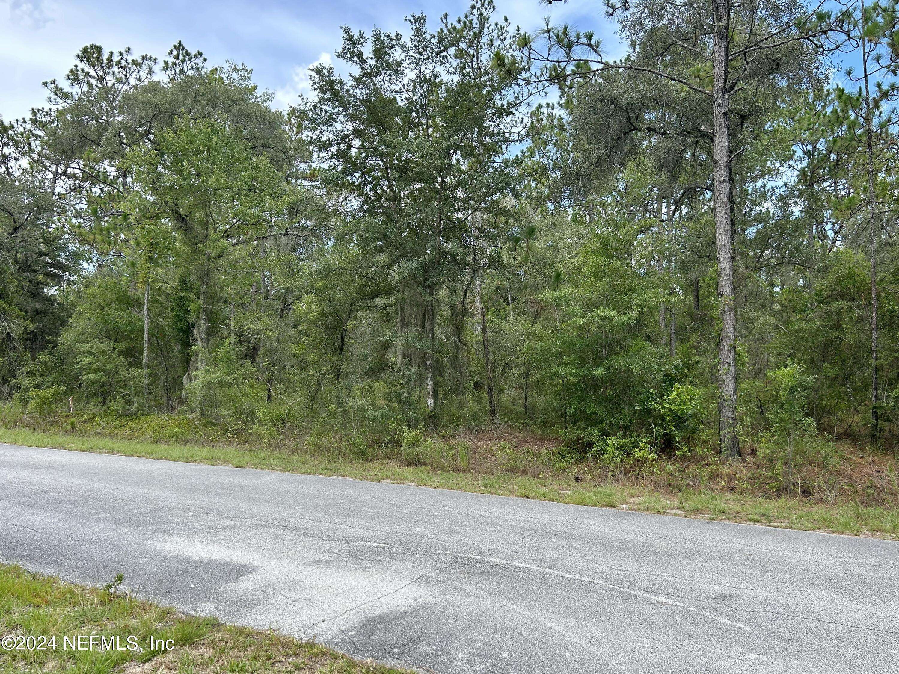 Dunnellon, FL 34431,LOT 17 NW MALLARD AVE