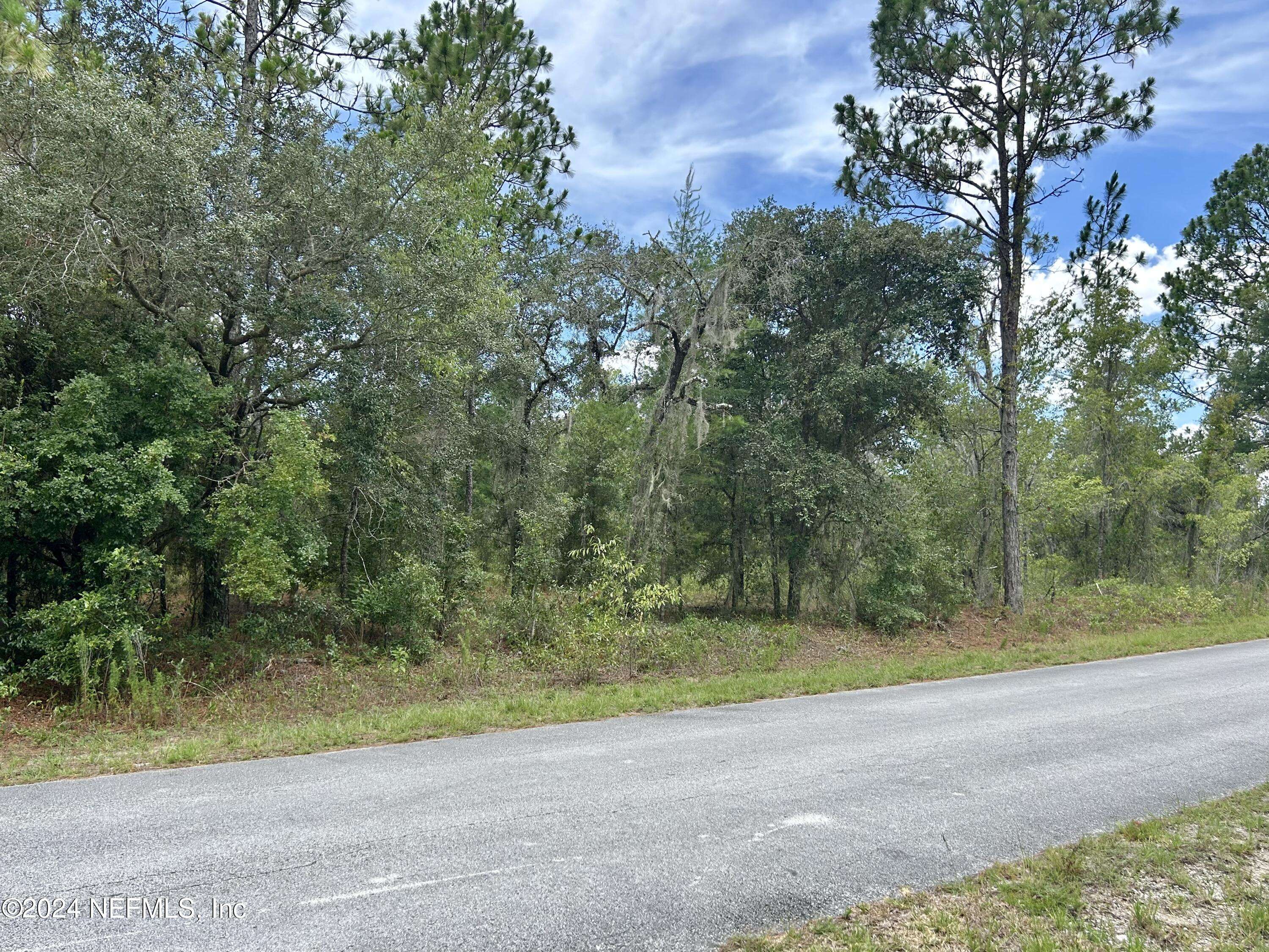 Dunnellon, FL 34431,LOT 17 NW MALLARD AVE