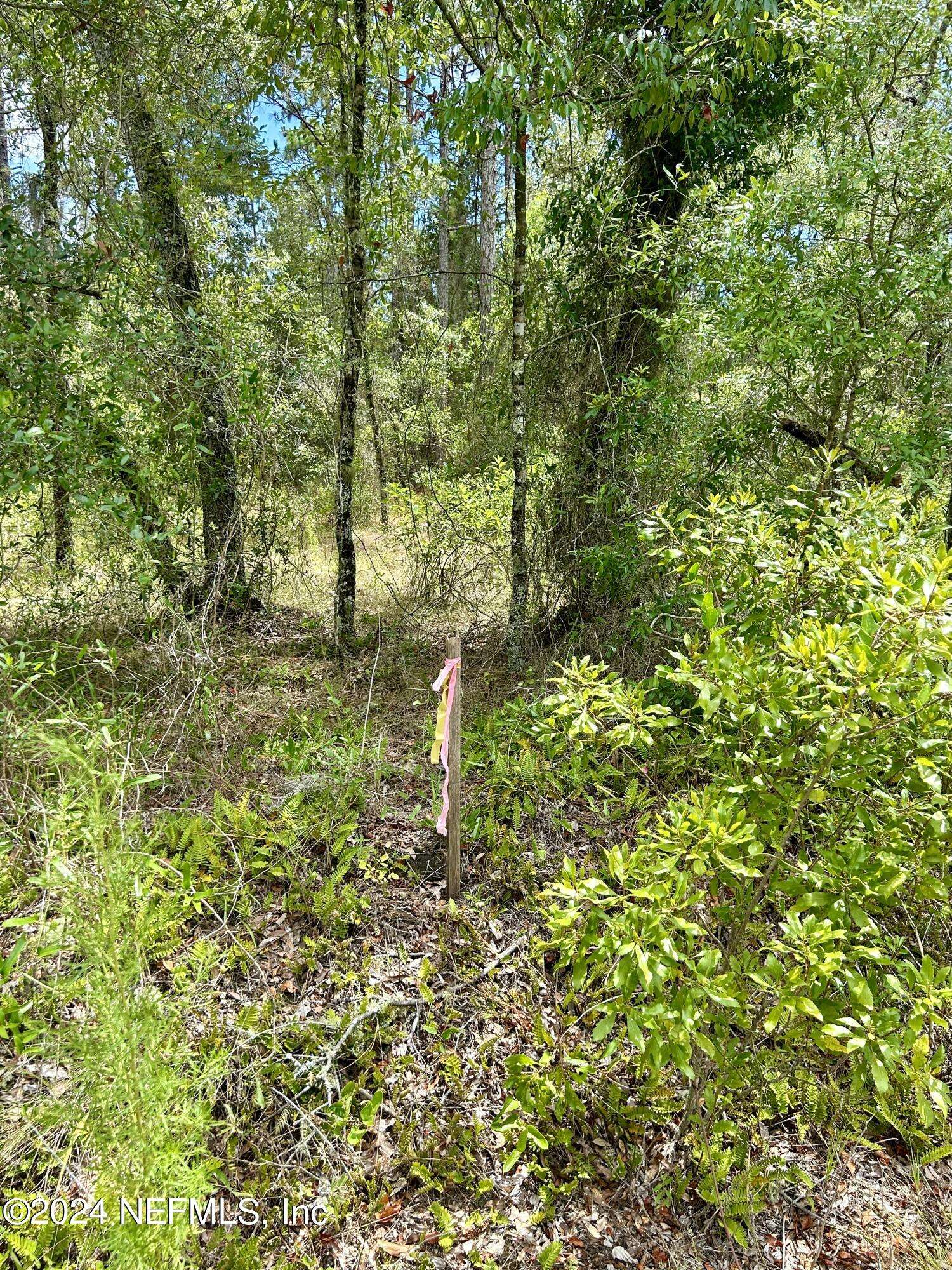 Dunnellon, FL 34431,LOT 17 NW MALLARD AVE