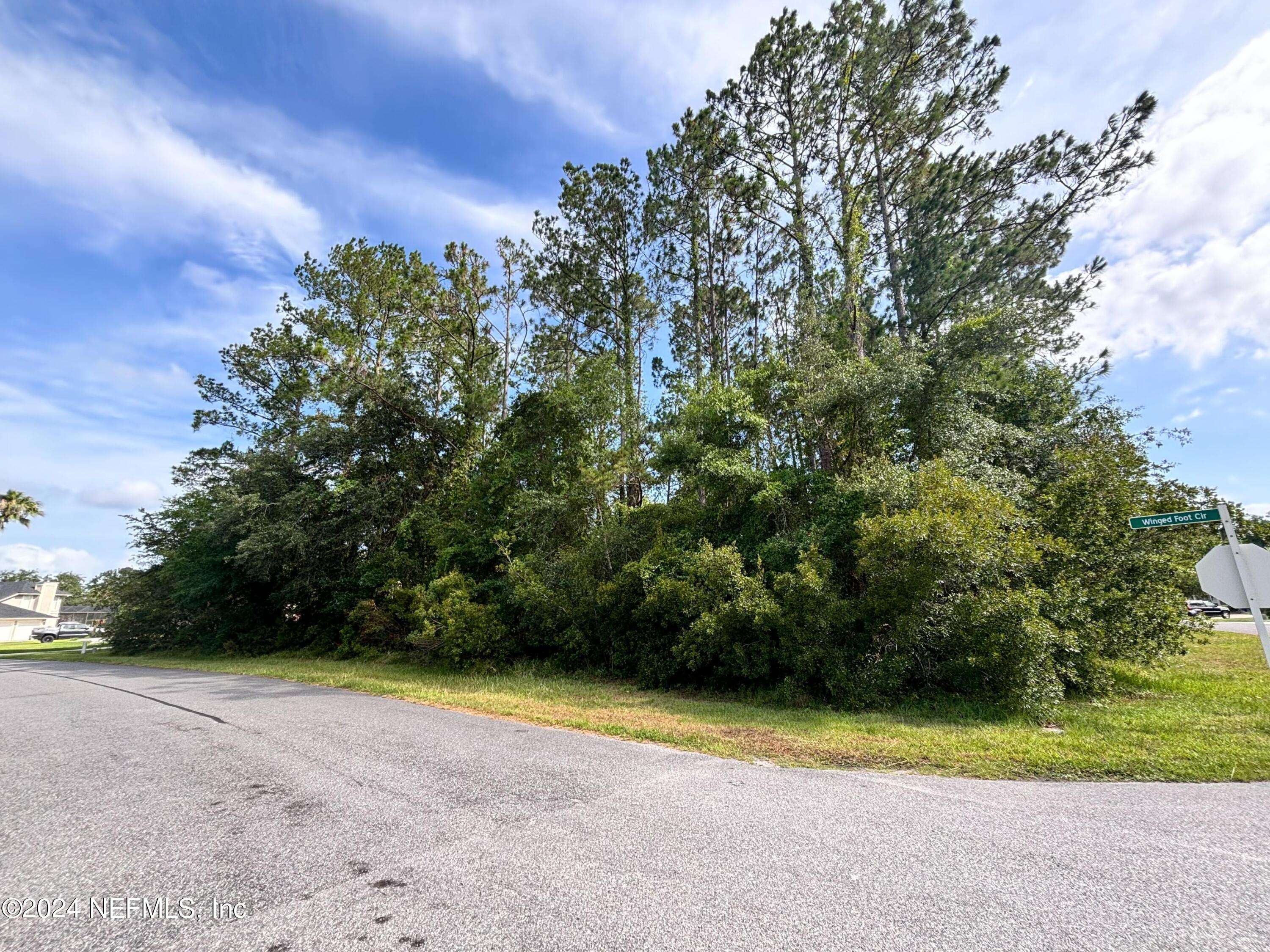 Green Cove Springs, FL 32043,3681 WINGED FOOT CIR