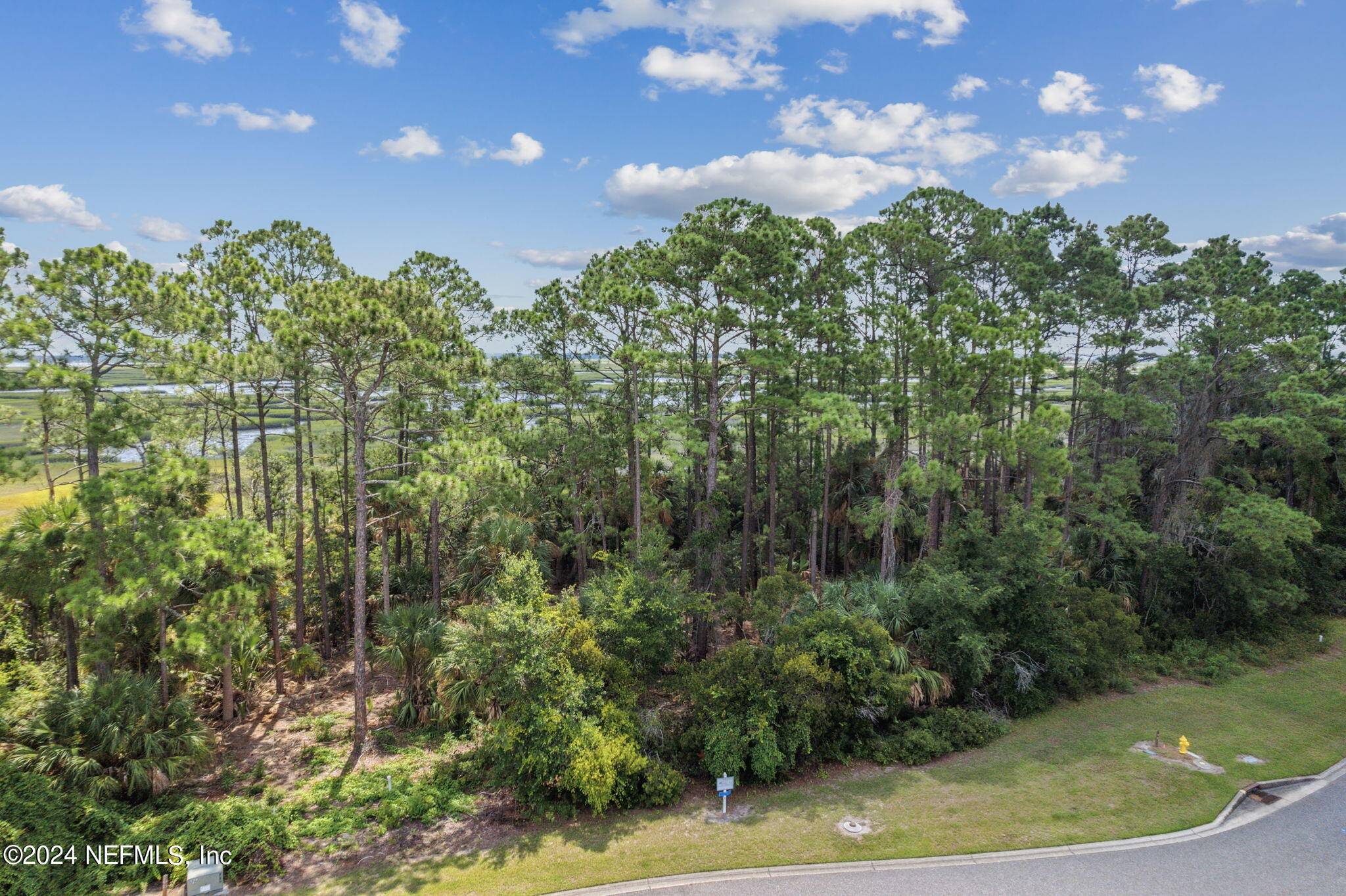 Fernandina Beach, FL 32034,96744 SOAP CREEK DR