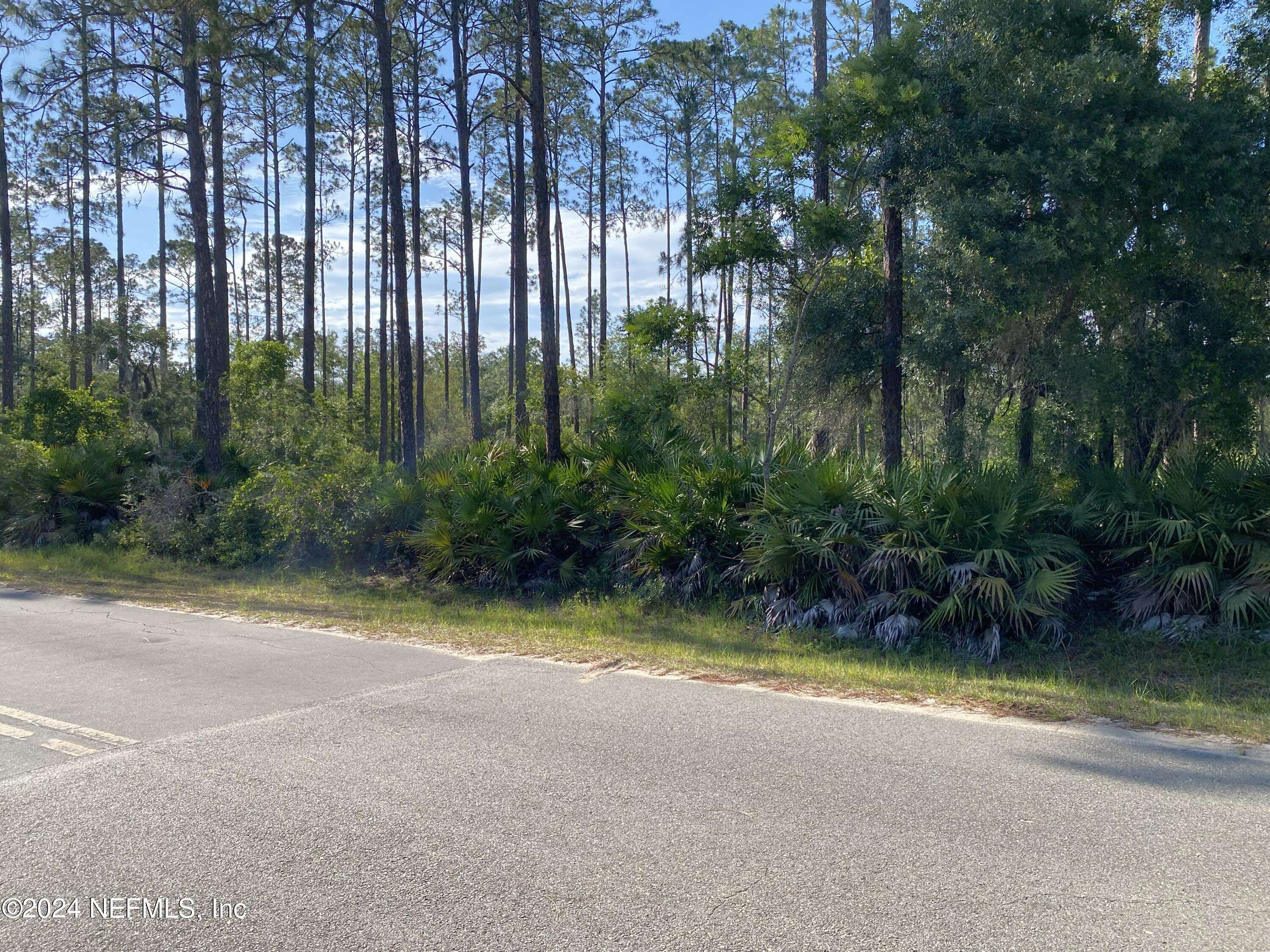 Interlachen, FL 32148,LOT 8 WALLACE ST