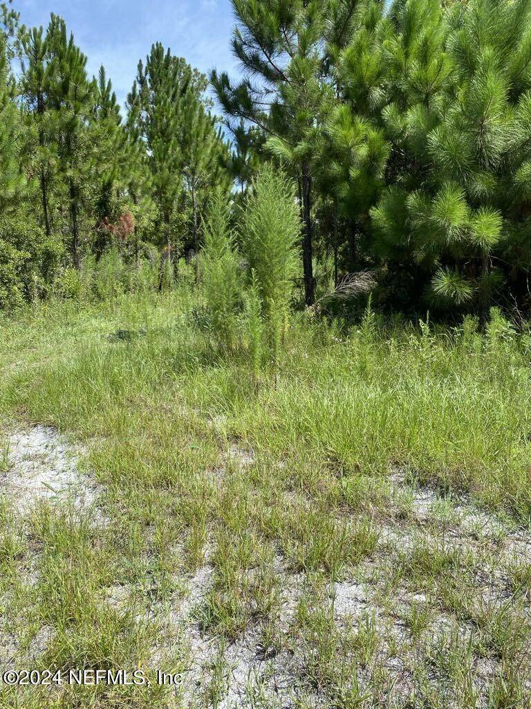 Palatka, FL 32177,550 W RIVER RD