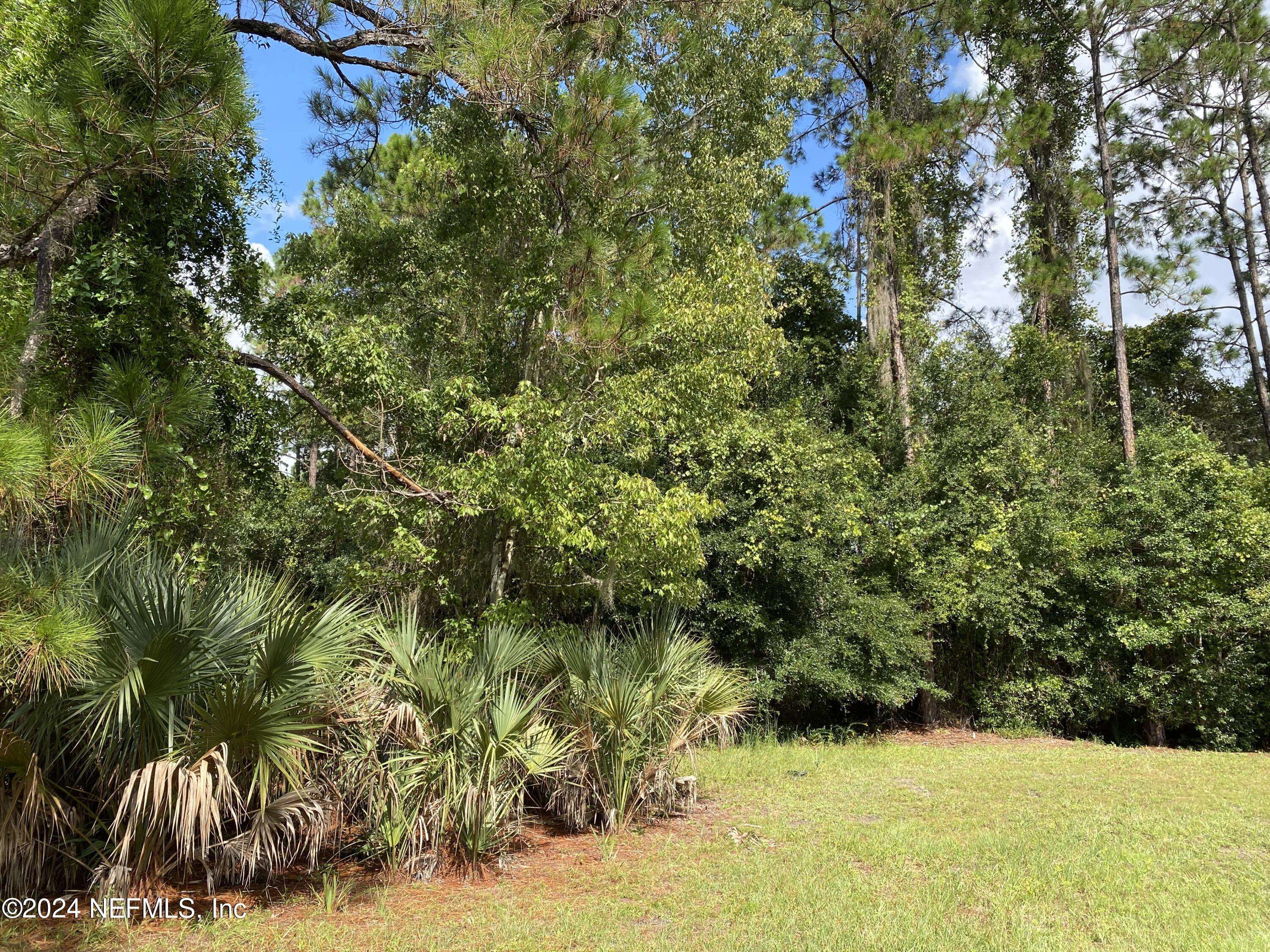 Georgetown, FL 32112,LOT 32 LONE LAUREL LN