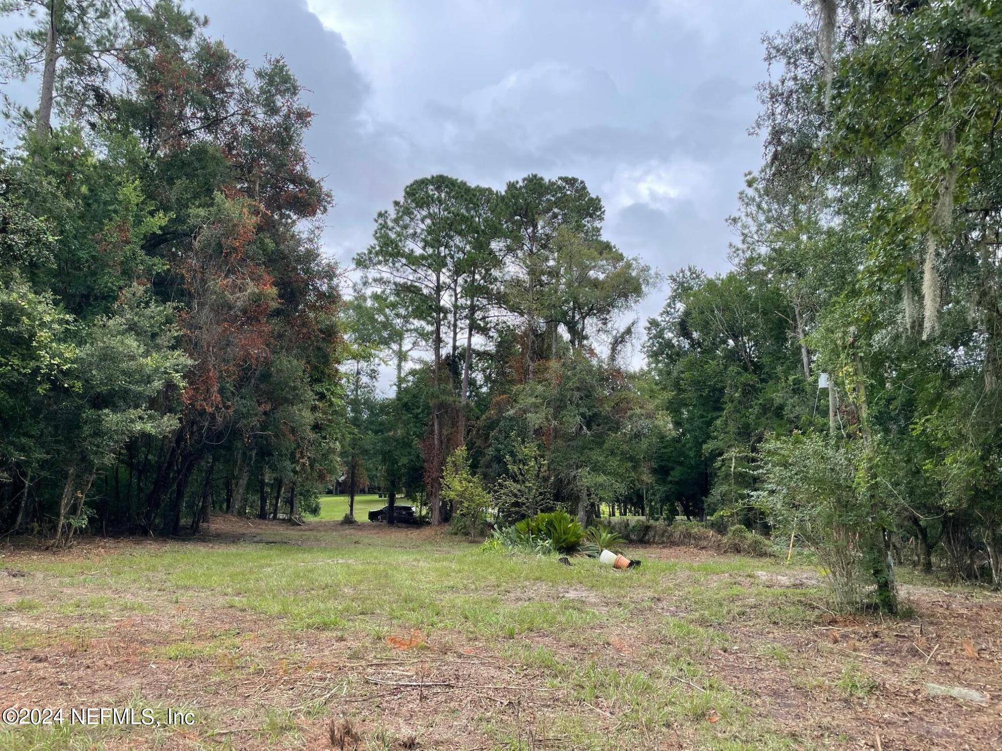 Middleburg, FL 32068,4071 LAZY ACRES RD