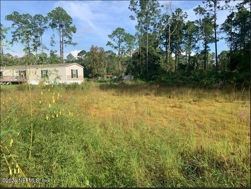 Satsuma, FL 32189,124 PINESHORE RD