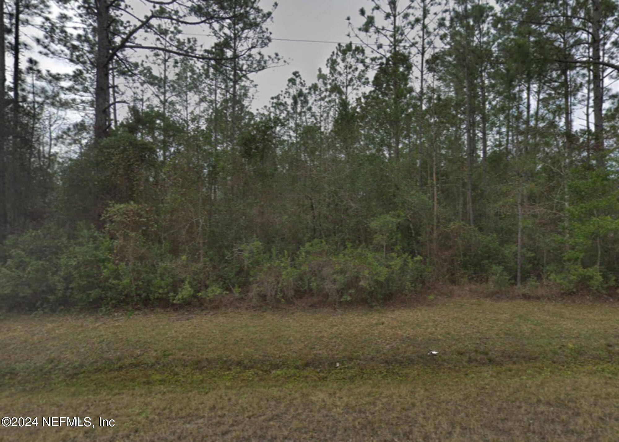 Hastings, FL 32145,465 DILLON AVE